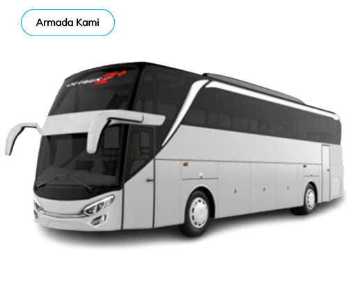Big Bus (45-50 seat)