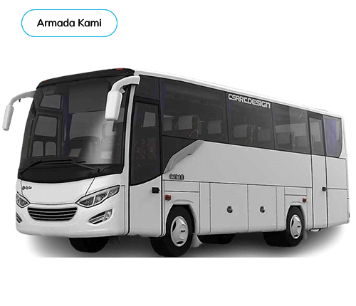 Medium Bus (30 seat)
